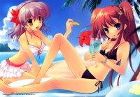 BUY NEW naru nanao - 99330 Premium Anime Print Poster
